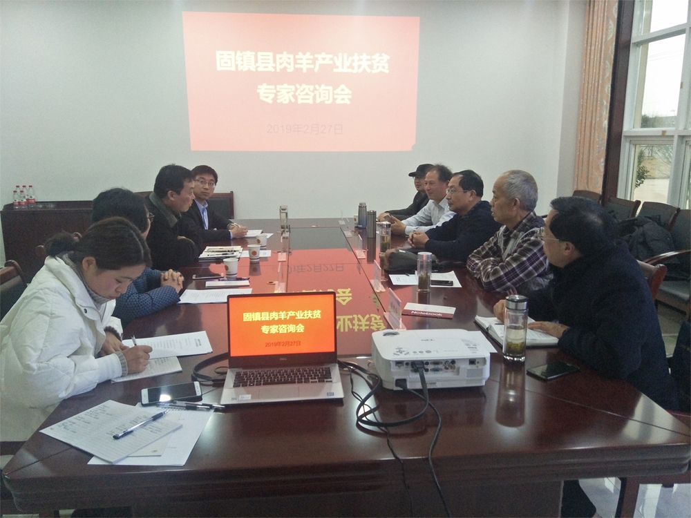固鎮(zhèn)縣肉羊產(chǎn)業(yè)扶貧專家咨詢會(huì)在安徽省爭(zhēng)華食品有限公司召開(kāi)