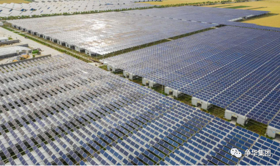 安徽省爭(zhēng)華食品有限公司 湖羊養(yǎng)殖基地